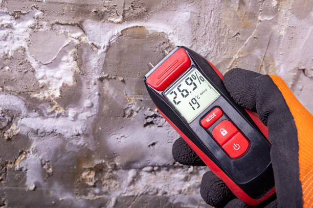 Best Crawl Space Mold Removal  in Shady Spring, WV
