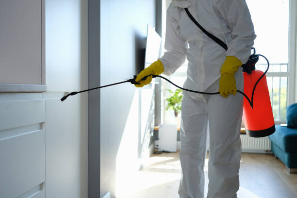 Best Commercial Mold Removal  in Shady Spring, WV