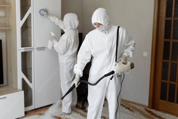 Best Local Mold Removal Service  in Shady Spring, WV